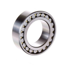 Bearing Supplier NN3011C1NAP5 Cylindrical Roller Bearing for Motorcycle Industry